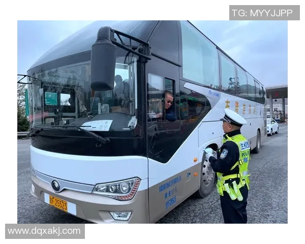 排球爱好者必看护膝选购指南与推荐品牌解析