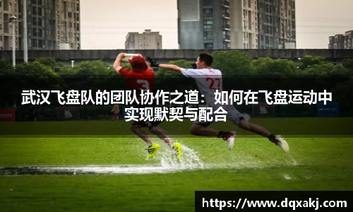武汉飞盘队的团队协作之道：如何在飞盘运动中实现默契与配合