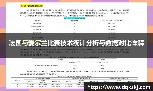 法国与爱尔兰比赛技术统计分析与数据对比详解
